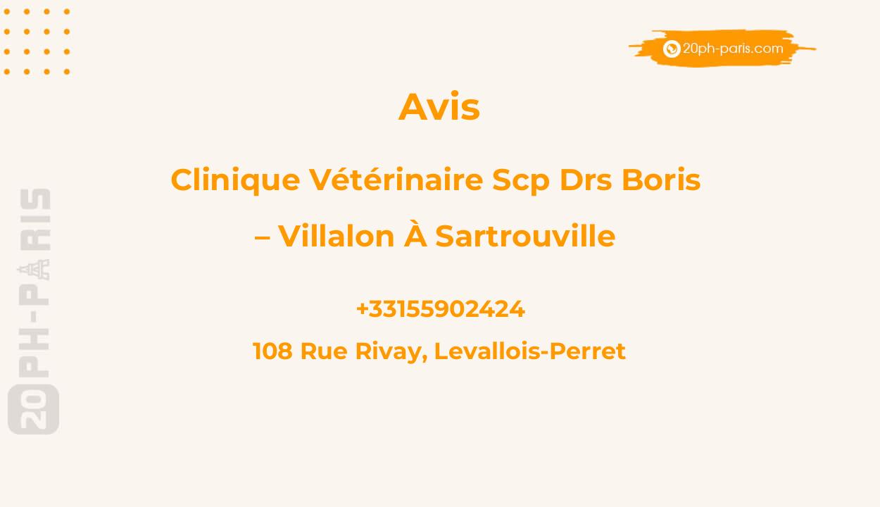 Clinique Vétérinaire SCP Drs BORIS – VILLALON à Sartrouville